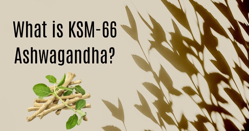 ashwagandha ashwagandha